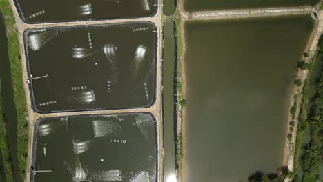 Aerial-bird-eye-view-close-up-of-shrimp-pools