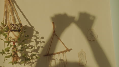 shadow of hands of dancing woman cast on sunlit wall decorated with plants