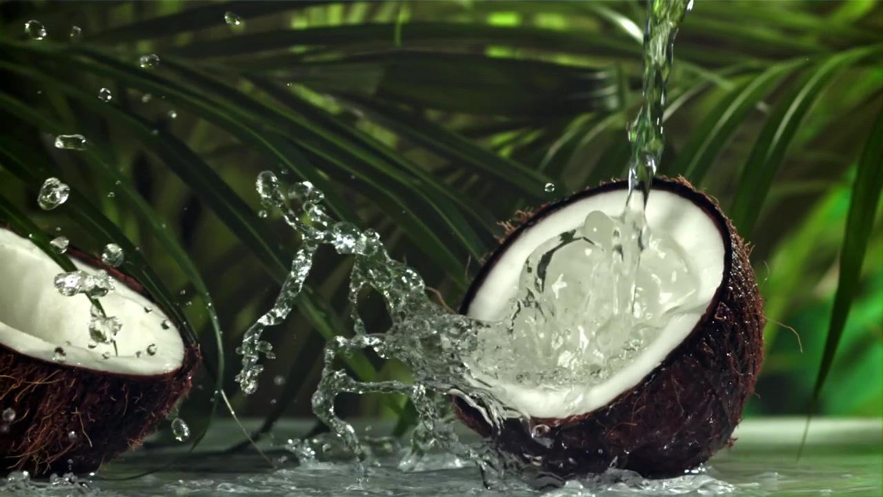 Slow Motion Water Splashing into Fresh Coconut Halves with Tropical Leaves