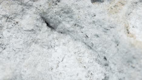 sea salt residue on rocky coastline of tenerife island, close up view