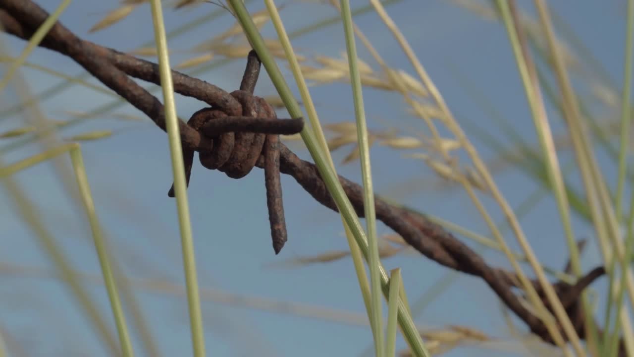 cerca de alambre de púas oxidada contra el cielo azul