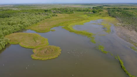 Vista-Aérea-De-Manglares-Y-Humedales-Del-Parque-Nacional-Estero-Balsa