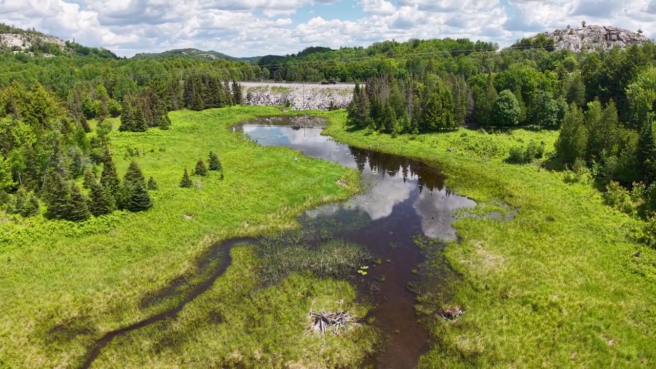 Et bredt luftperspektiv afslører den grønne vildmark og granitlandskabet nær Whitefish Falls med en rolig, afsides atmosfære.