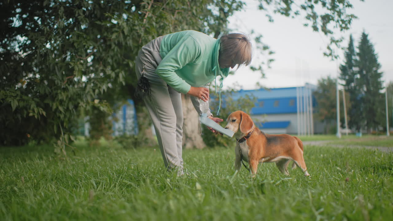 Wide view of instructor feeding pet dog breakfast after morning exercise outdoors on green grass park under trees bright day showing bond between human and animal healthy active lifestyle moment