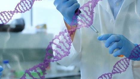 Animation-Von-DNA-Strukturen,-Die-Sich-über-Dem-Mittelteil-Zweier-Männlicher-Wissenschaftler-Drehen,-Die-Im-Labor-Arbeiten