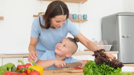 Beautiful Mother and Son Cutting Vegetables and Smiling while Cooking in Home Kitchen Beautiful Mother and Son Cutting Vegetables and Smiling while Cooking in Home Kitchen Mom Teaches her Son to Make a Salad