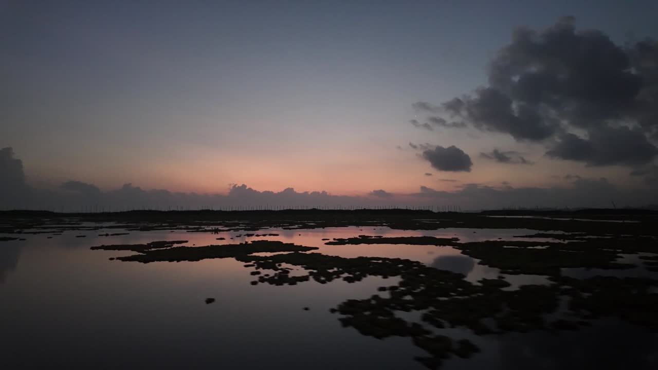 Low shot of evening water lily covered lake with reflected light from sunset