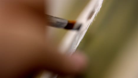 extreme shallow depth of field oil paint brush painting with white paint