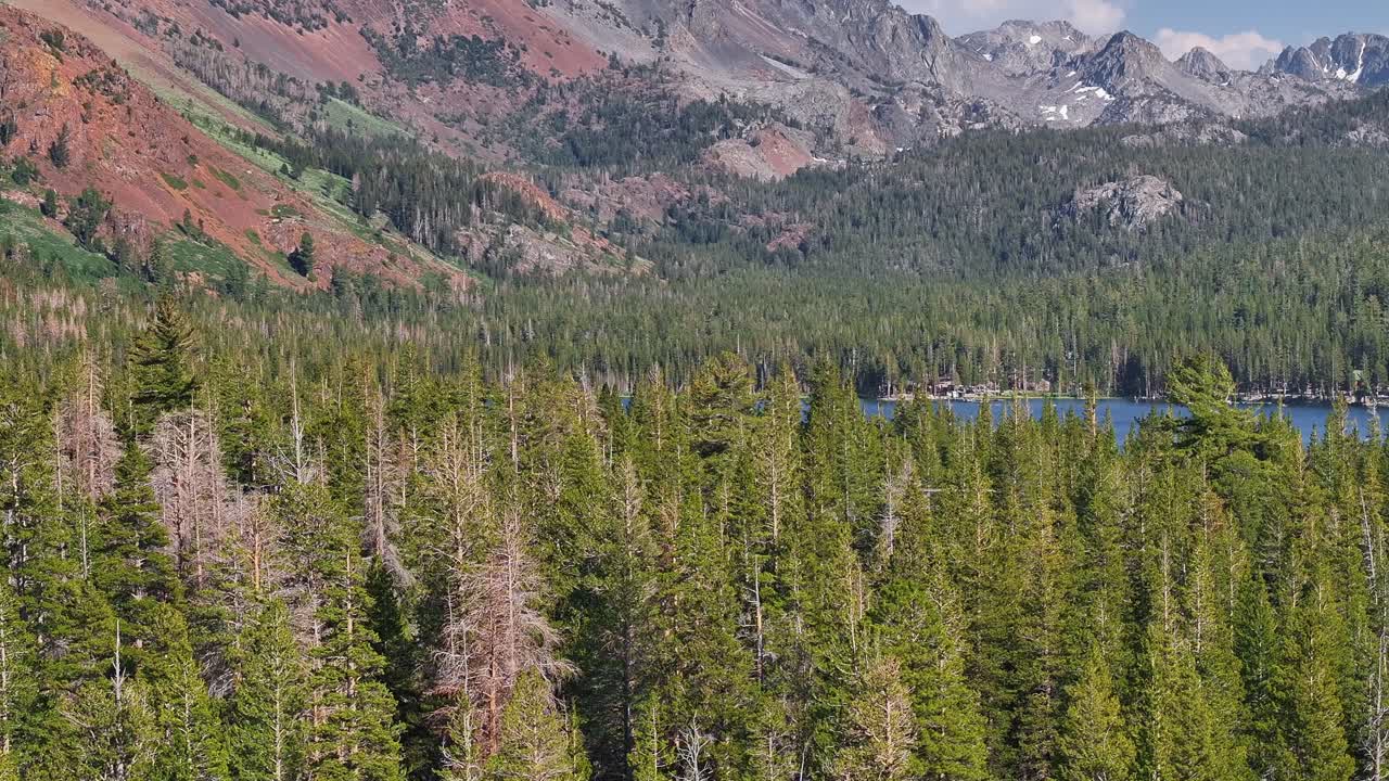 Drone flies and tracks along the treetops in the Mammoth Lakes Basin with blue alpine water and rugged Sierra peaks in the background. Bright summer daylight and evergreen landscape