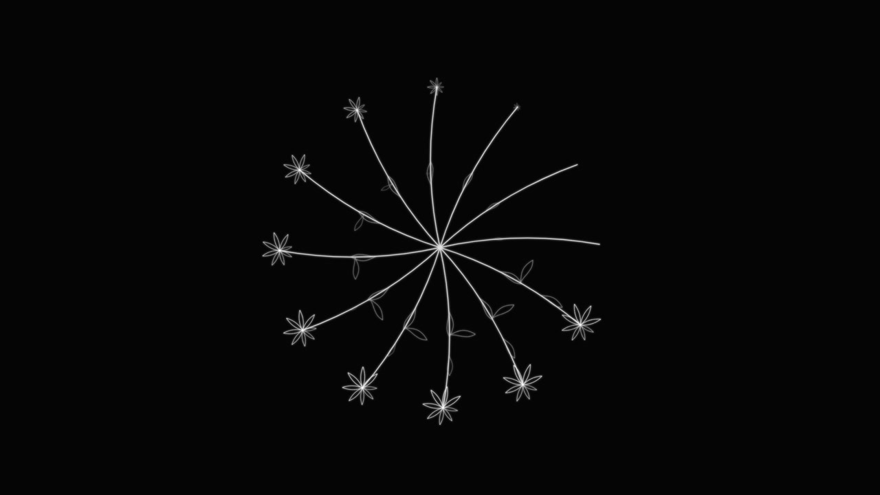 Animated White Line Art Flowers Rotating in a Circle