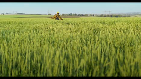 farmer walking through wheat field
