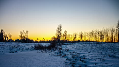 Zeitraffer-Eines-Farbenfrohen-Sonnenaufgangs-An-Einem-Kalten-Wintertag-Hinter-Den-Bäumen