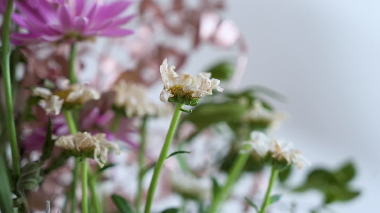 Nærbillede af en boutique med et udvalg af visne og tørrede hvide vilde blomster