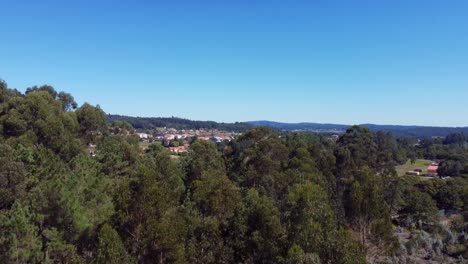 Plantación-De-Eucalipto-Globulus,-Toma-De-Vista-Aérea-De-Galicia,-Colección-De-Material-De-Archivo-Aéreo