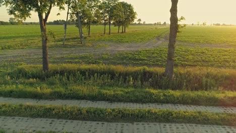 Scenic-View-Of-Flowering-And-Evergreen-Meadows-Landscape-During-Sunrise