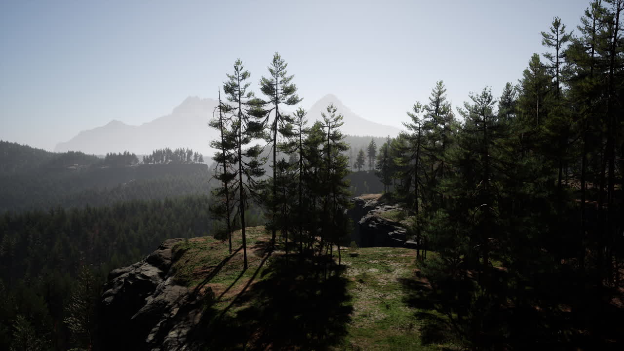 paisaje montañoso brumoso con bosque de abeto