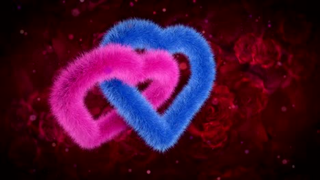 unión de corazones de género, azul rosa en rosas rojas bg