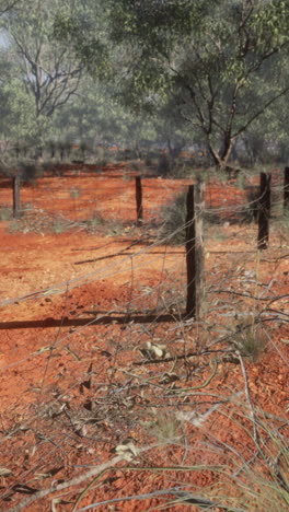 red dirt path in the outback