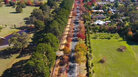 Cars-driving-along-honour-avenue