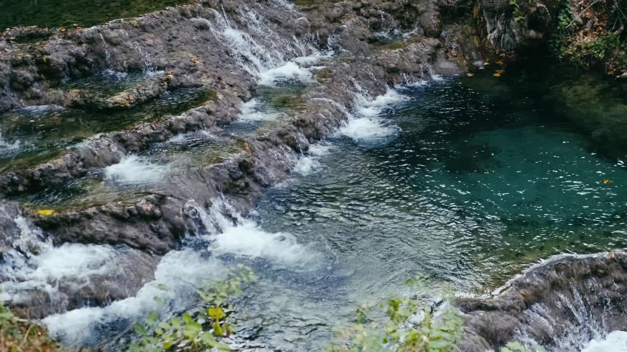 cascada en el bosque exótico
