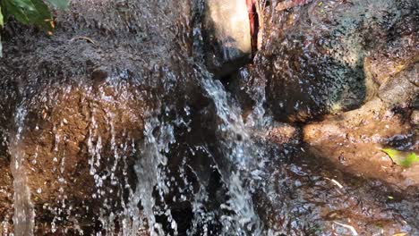 cataratas en cascada sobre las rocas en el zoológico de melbourne