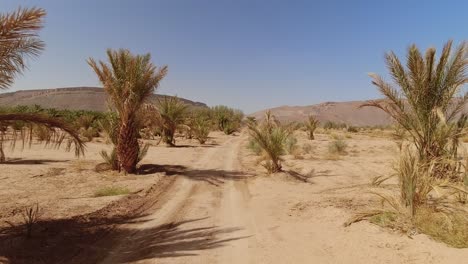 off road rally trail in morocco's sahara desert - first person point of view