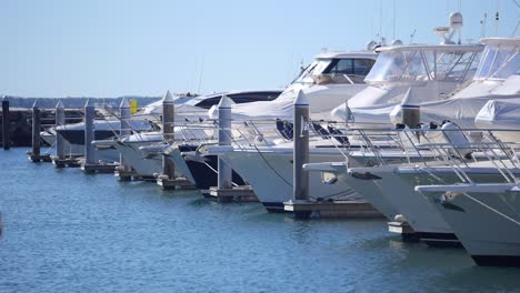 luxury boats moored at marina newcastle