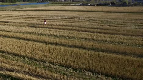 woman walking through a harvested wheat field