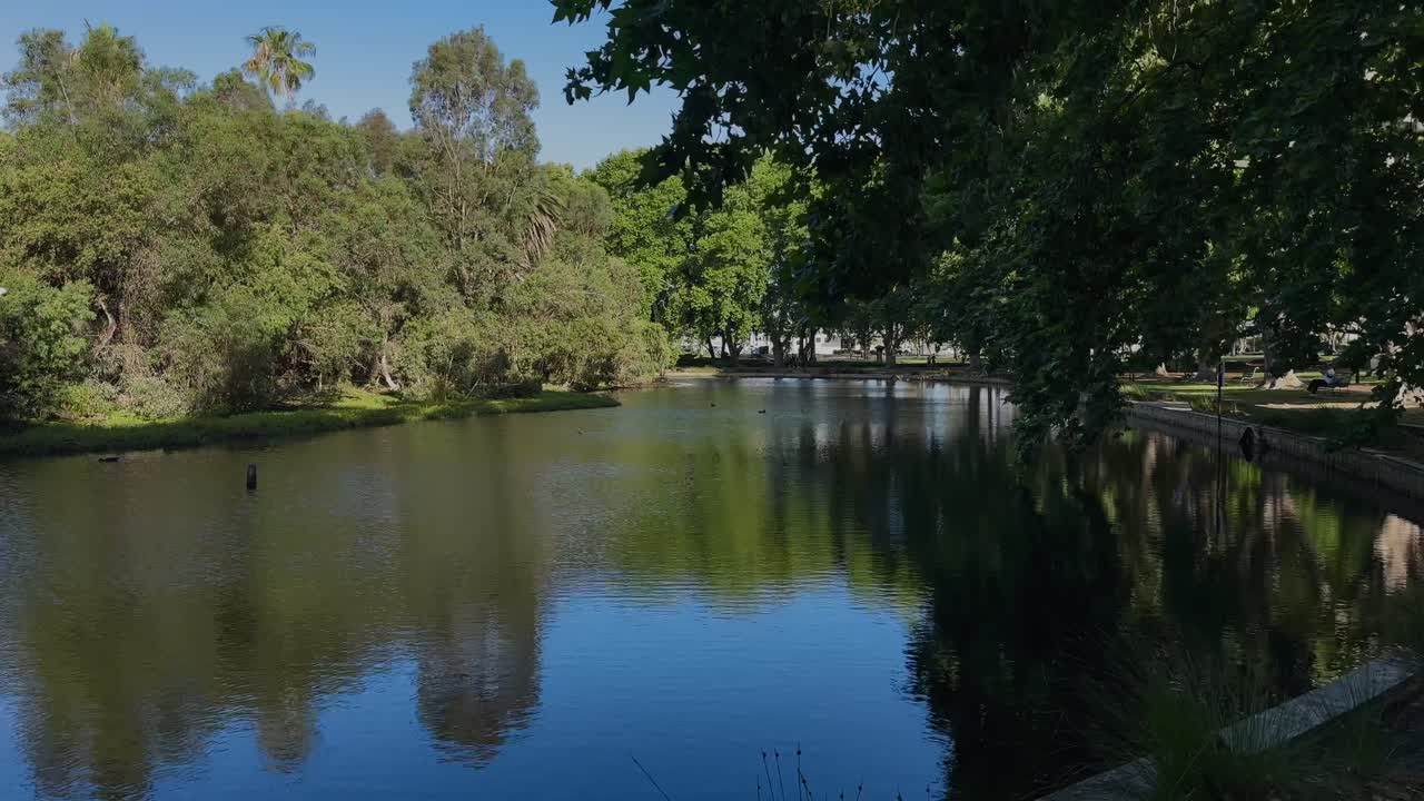 4k Hyde Park Perth blue lake overhanging Plane green tree inner-city oasis