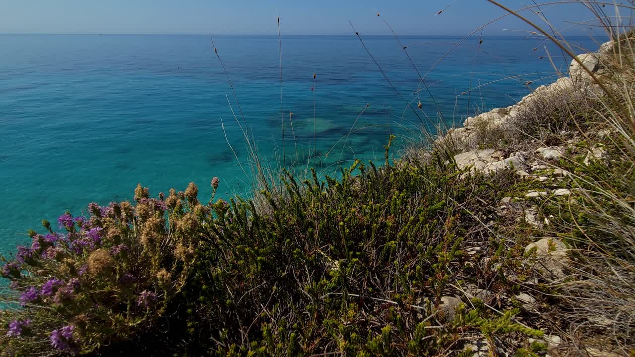 фиолетовые дикие цветы и средиземноморские специи, используемые в традиционной кухне на скалистых холмах на бирюзовом фоне морской воды