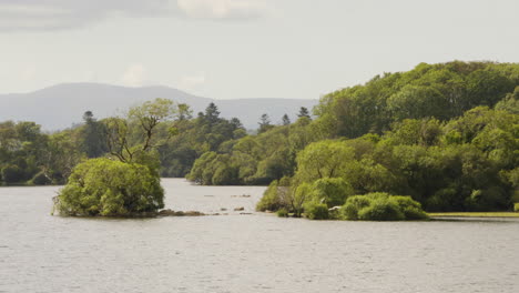 lough leane lake and green foliage at killarney national park in county kerry, ireland