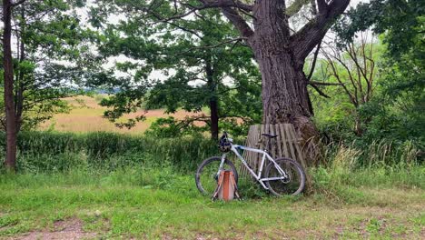 sports mountain bike standing in nature