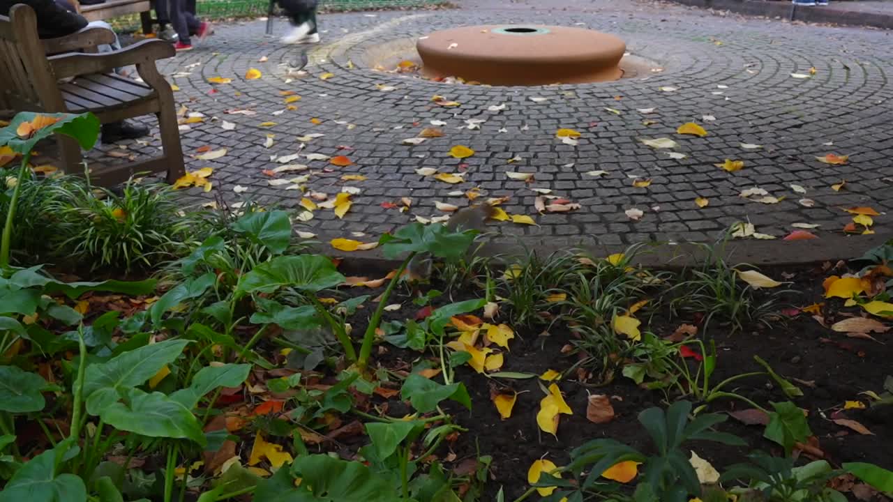 Autumn Scene in a Park with a Fountain