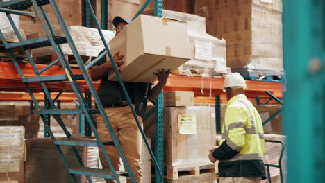 trabajadores de almacén que levantan cajas