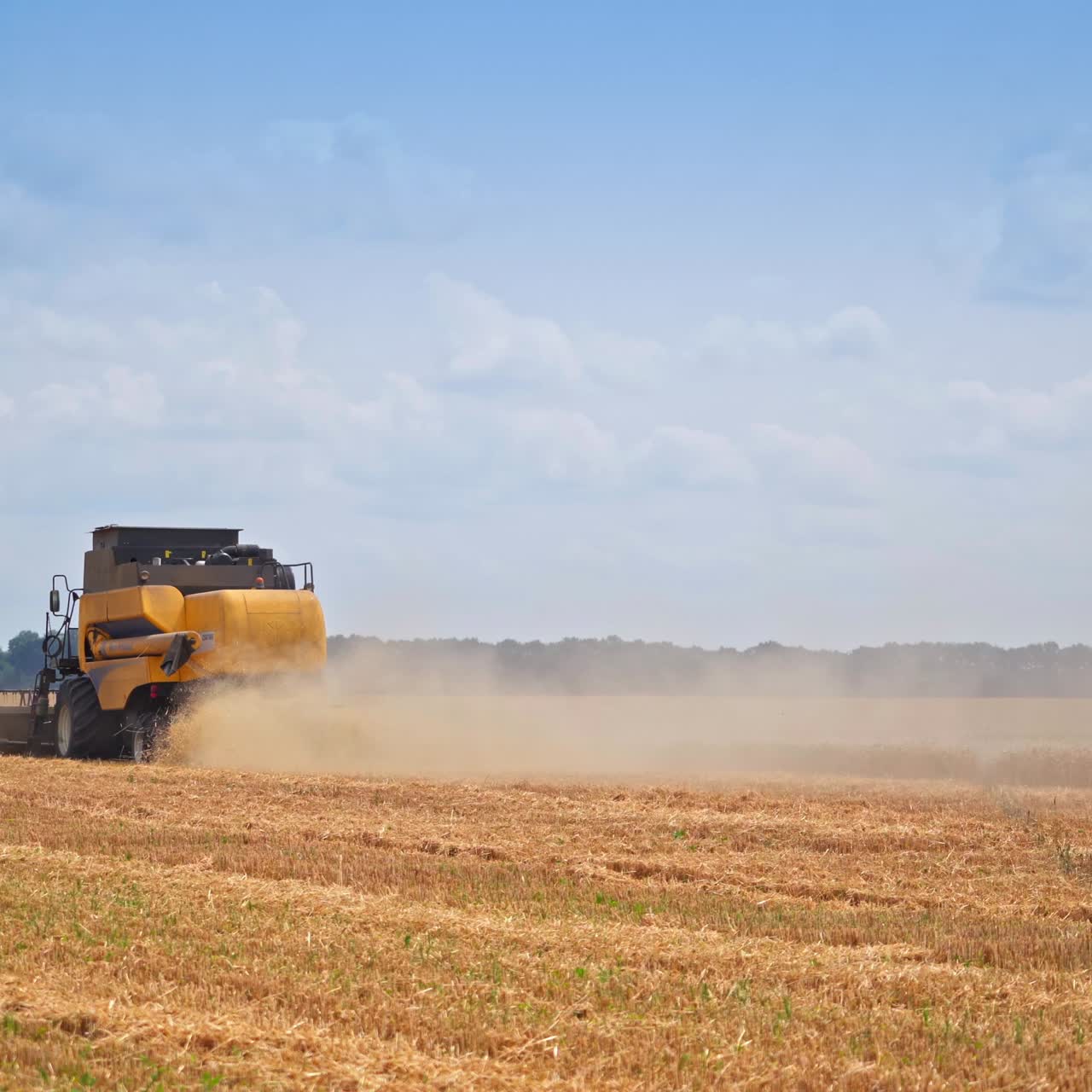Big agricultural combine harvesting in field. Farming food golden landscapes