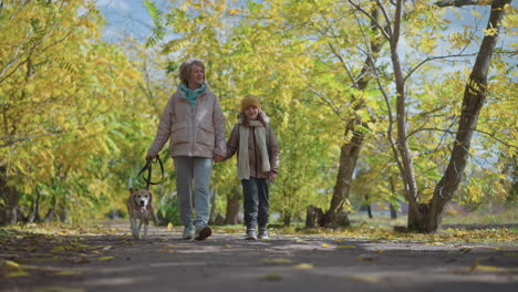 mother and daughter walking with dog under golden trees, gazing into woods while holding hands on leaf strewn path, enjoying crisp fall day with sun filtering through foliage in serene park walkway