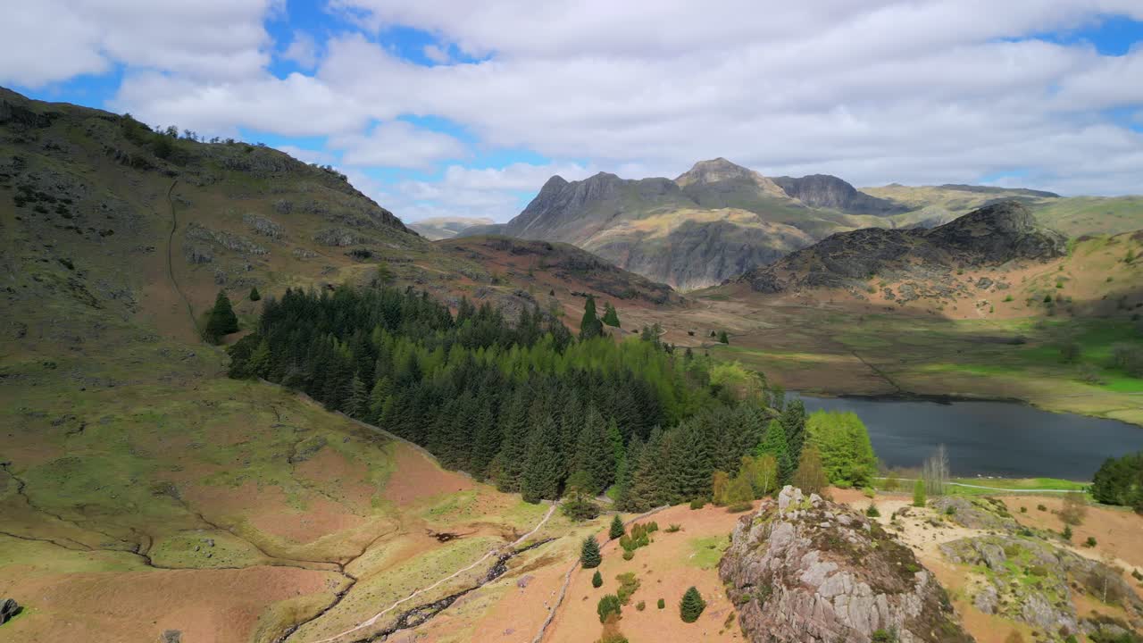 bosque de pinos al lado de un pequeño lago en el valle con vistas a la cordillera de langdale pikes en un día soleado
