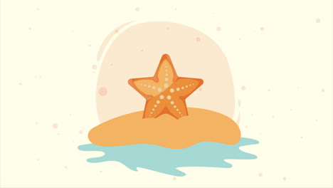 starfish sealife on the beach animation