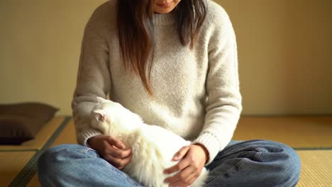 a cozy moment of connection: a person and their adorable white cat sharing a tranquil experience in a serene indoor setting