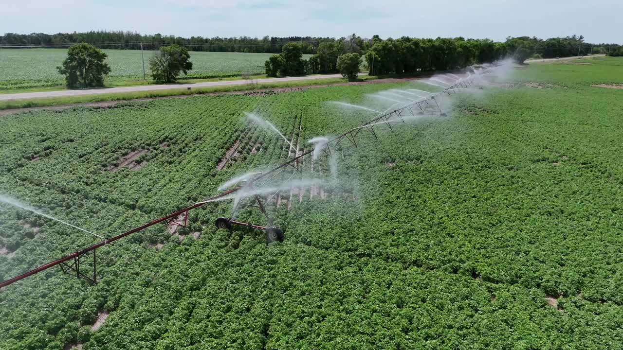 un campo agrícola en el centro de wisconsin es irrigado con un sistema de rociadores