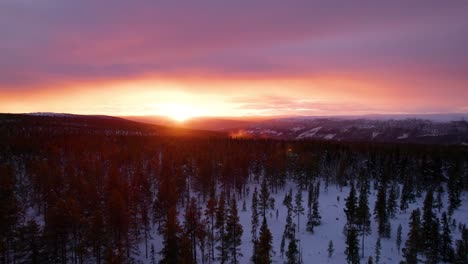 Purple-sunset-during-winter-in-a-mountain-forest