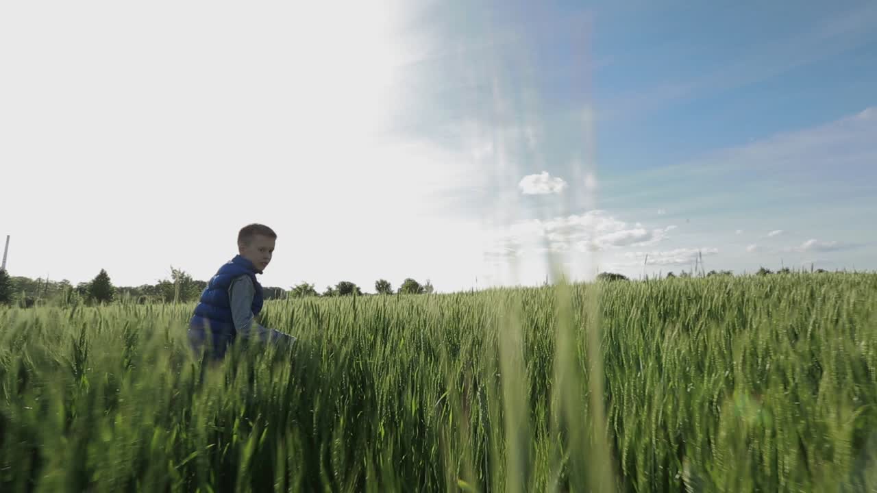 Boy Walking Through The Field. Little boy on a field in the sunlight enjoying nature