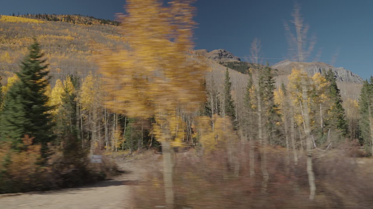 Autumnal Forest Landscape with Mountains