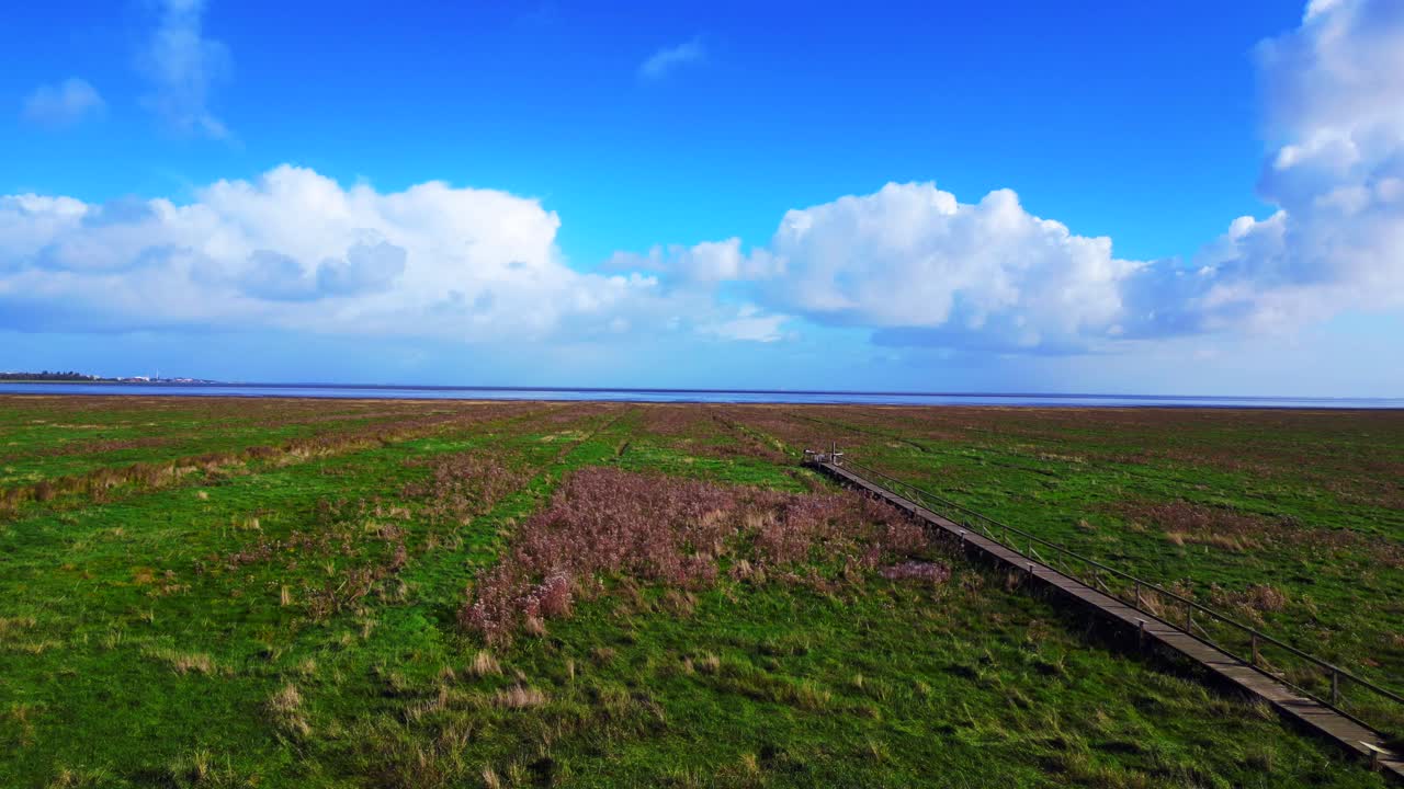 Tranquil Marsh Landscape with Wooden Boardwalk
