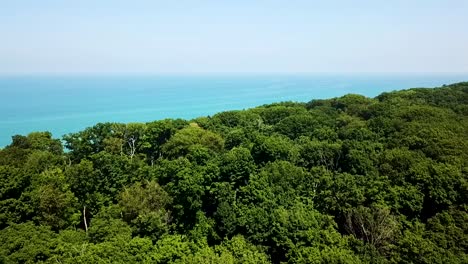 forest foliage on coast of tropical blue water