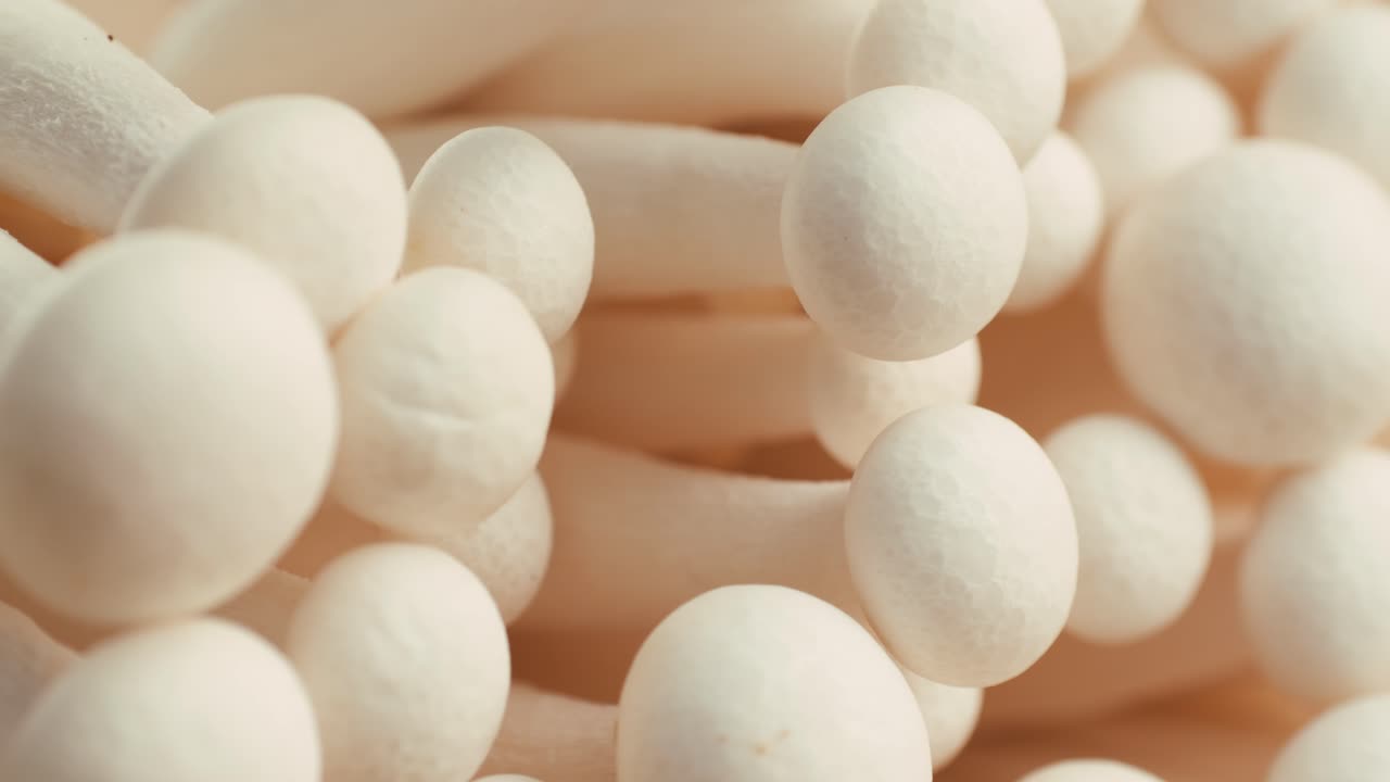 primer plano de setas blancas