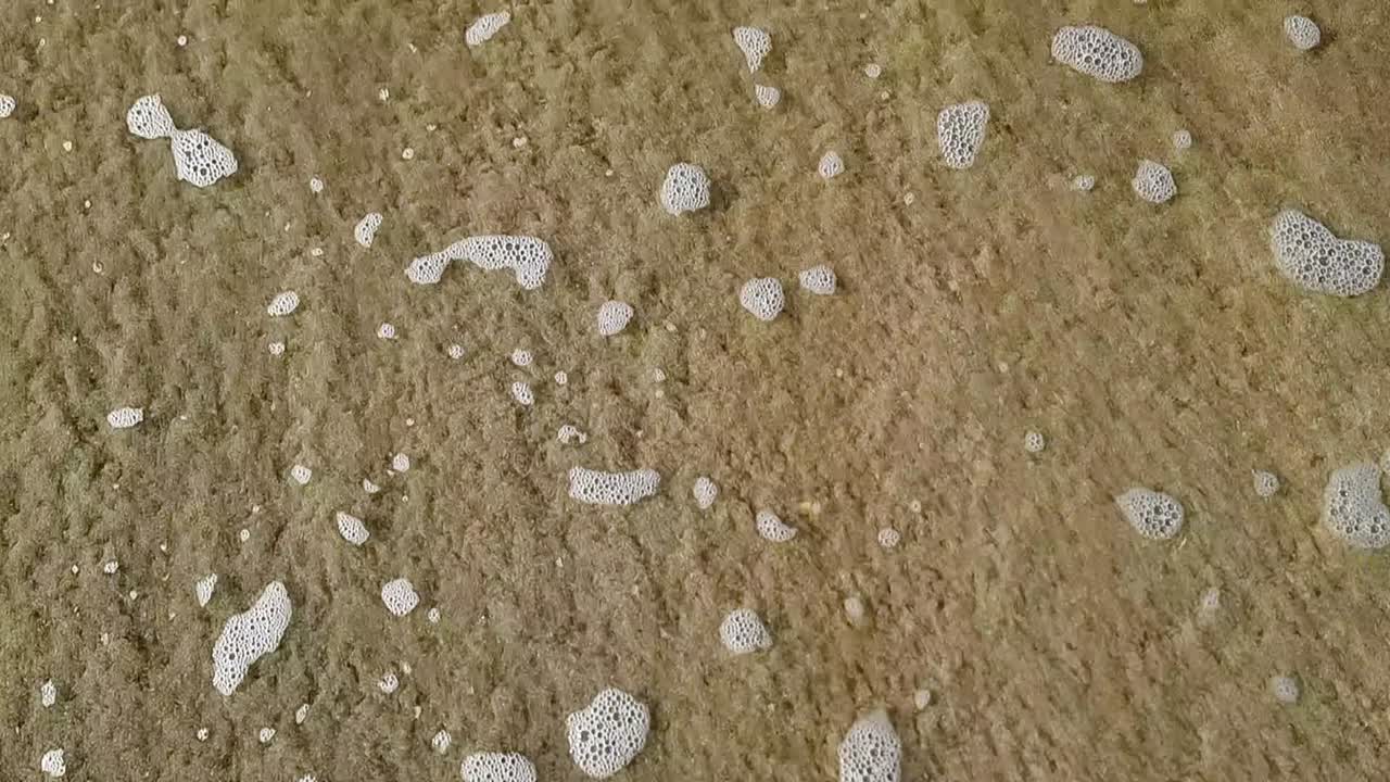 Grungy sea foam froth slowly moving across sandy Welsh beach with tide waves