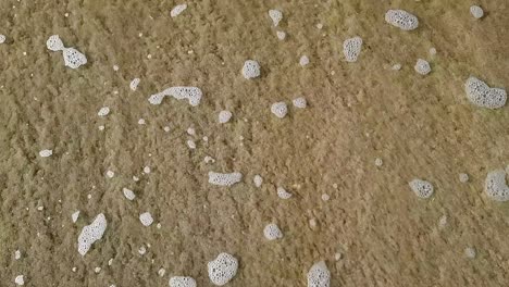 Grungy sea foam froth slowly moving across sandy Welsh beach with tide waves