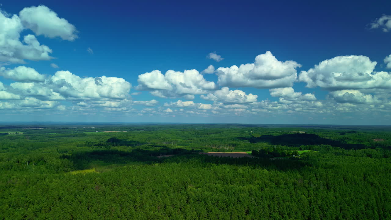 High bird's eye view in a blue sky with white clouds above vast forests