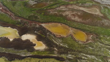 aerial view of a salt marsh ecosystem